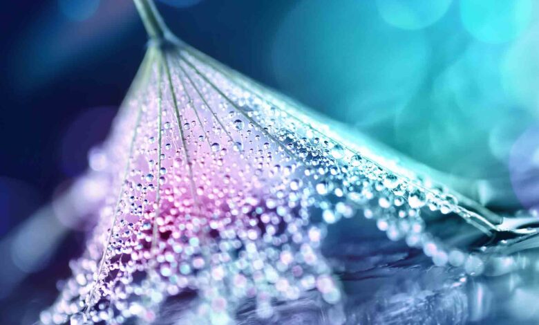 Dentons appointed as legal adviser to the Artificial Intelligence Safety Institute Dentons appointed as legal adviser to the Artificial Intelligence Safety Institute