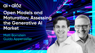 Open Models and Maturation: Assessing the Generative AI Market