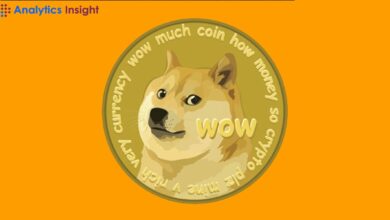 DOGE Price Fluctuates Amid ETF Speculations