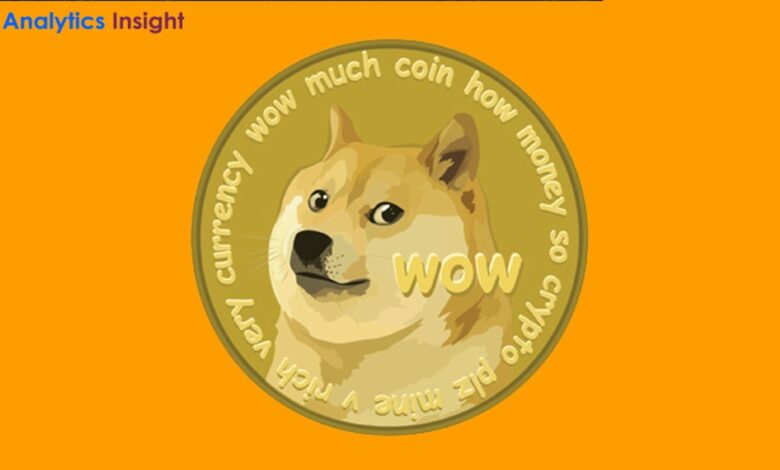 DOGE Price Fluctuates Amid ETF Speculations DOGE Price Fluctuates Amid ETF Speculations