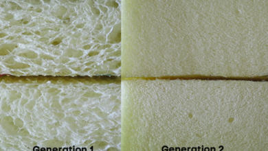 Apple and Rise develop ‘unique bio-based foam’ for packaging – Robotics & Automation News