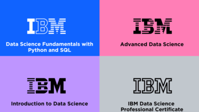 A Free Data Science Learning Roadmap: For All Levels with IBM