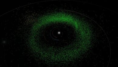 Artificial intelligence discovers 27,500 new asteroids