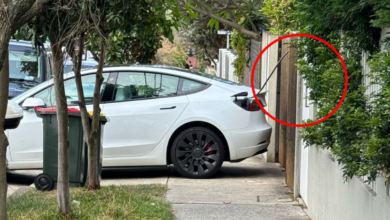 Tesla’s questionable footpath move exposes growing problem as illegal parking ‘surges’