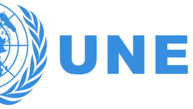 Global use of United Nations Framework Classification for Resources (UNFC) and United Nations Resource Management System (UNRMS) grows to support more sustainable resource management