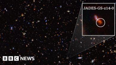 Earliest and most distant galaxy ever observed