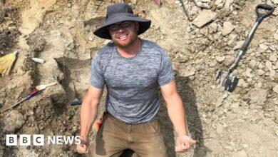 Dinosaur hunter stumbles across million-dollar find