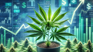 Boosting Cannabis Retail Growth With Data: LeafLink And CASA Unite To Deliver Profit-Driving Analytics