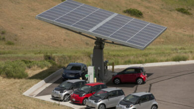 Climate protection: Electric vehicles here and overseas