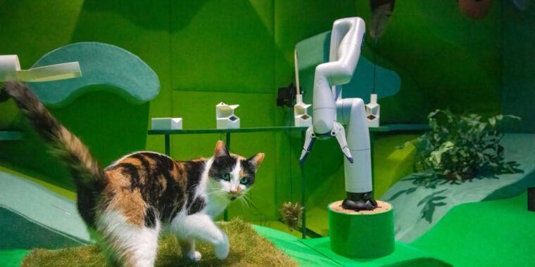 Cats playing with robots proves a winning combo in novel art installation Cats playing with robots proves a winning combo in novel art installation