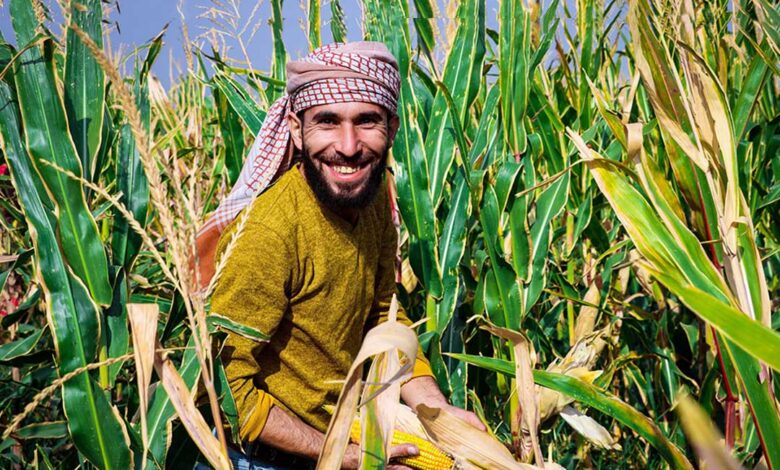 World Entrepreneurs Call for Harnessing Power of Innovation for SDGs | News | SDG Knowledge Hub World Entrepreneurs Call for Harnessing Power of Innovation for SDGs | News | SDG Knowledge Hub