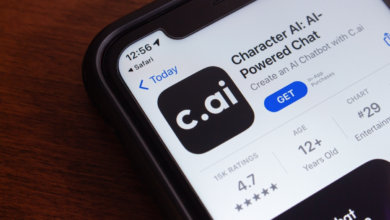 Chatbot Maker Character.ai Talks Partnerships With Meta, xAI