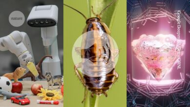 How AI could improve robotics, the cockroach’s origins, and promethium spills its secrets