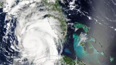 NASA, IBM Research to Release New AI Model for Weather, Climate