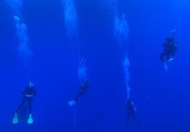 Oregon researchers uncover how jelly sea creatures might shape modern robotics Oregon researchers uncover how jelly sea creatures might shape modern robotics