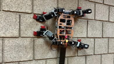 Lizard-like robot climbs walls with insect-inspired passive grippers