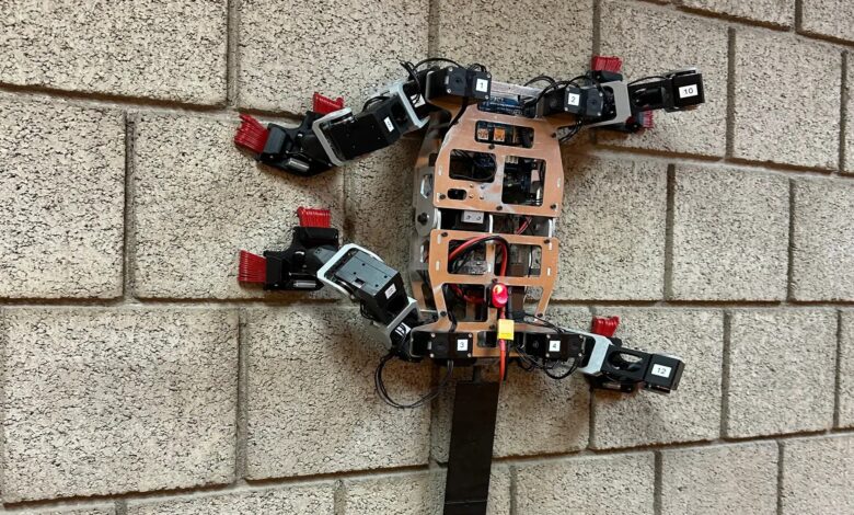Lizard-like robot climbs walls with insect-inspired passive grippers Lizard-like robot climbs walls with insect-inspired passive grippers