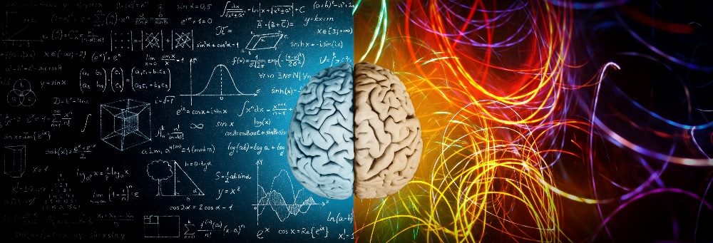 The concept of the human brain. The right creative hemisphere versus the left logical hemisphere in piece about AI's impact on Web Development.