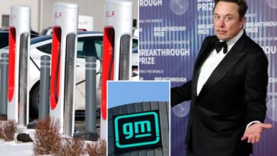 Elon Musk’s move to disband Tesla EV charging team blindsides car industry