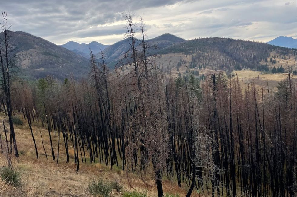 mathow valley, wildfire, electric vehicles