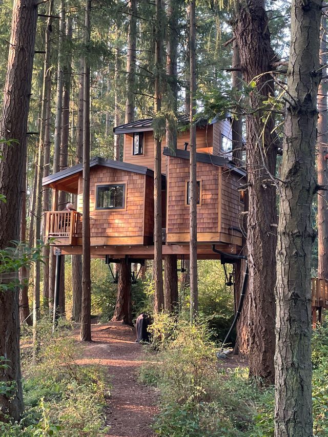 whidbey island, electric vehicles, treehouse