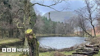 Plans for Lake District telecommunications mast refused