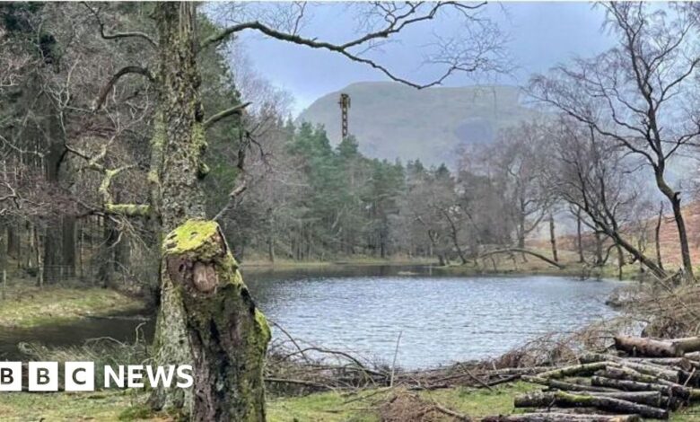 Plans for Lake District telecommunications mast refused Plans for Lake District telecommunications mast refused