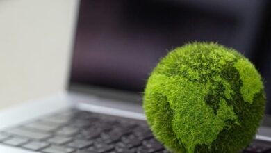 The Key to a Greener Digital World