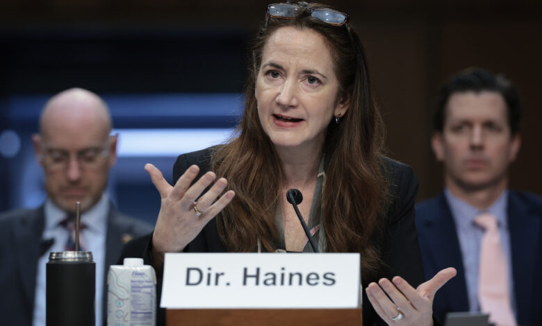 U.S. elections face more threats from foreign actors and AI : NPR U.S. elections face more threats from foreign actors and AI : NPR