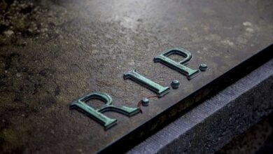 What happens when genAI vendors kill off their best sources? – Computerworld