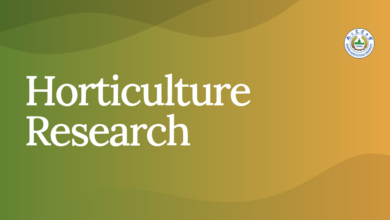 Functional data analysis-based yield modeling in year-round crop cultivation – Oxford Academic