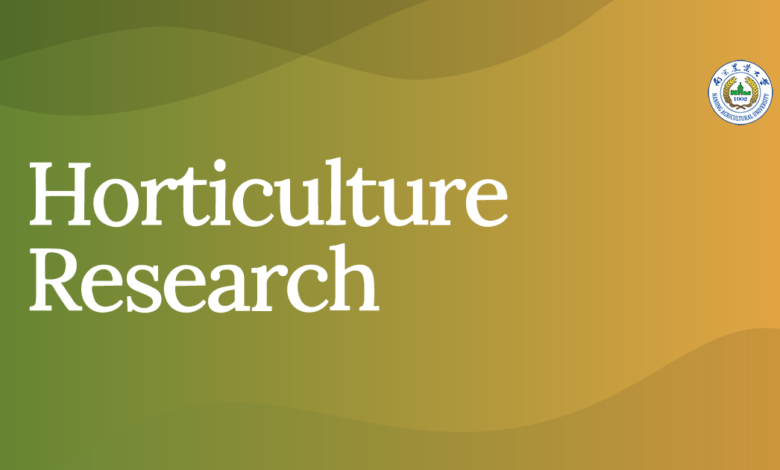 Functional data analysis-based yield modeling in year-round crop cultivation – Oxford Academic