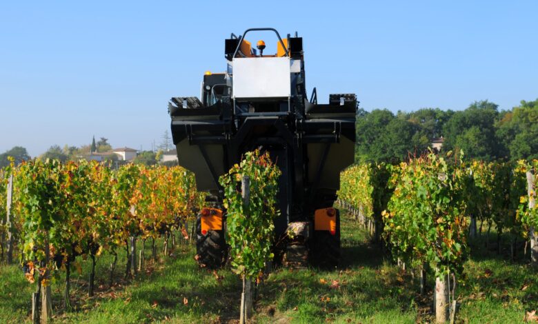 Antinori bets on vineyard robots Antinori bets on vineyard robots