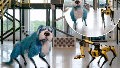 ‘Creepy’ Boston Dynamics robot dog dances in glittery blue costume