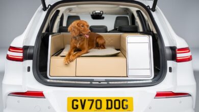 Your dog’s favorite EV – this car’s modular trunk has a power shower, heated bed and hairdryer to turn it into a pooch palace