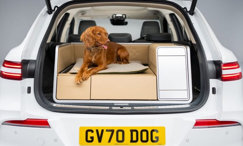 Your dog’s favorite EV – this car’s modular trunk has a power shower, heated bed and hairdryer to turn it into a pooch palace Your dog’s favorite EV – this car’s modular trunk has a power shower, heated bed and hairdryer to turn it into a pooch palace