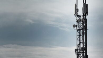 Laws need reviewing for telecommunication masts says local councillor