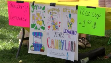 Local kids sell interesting lemonade flavors to learn about entrepreneurship