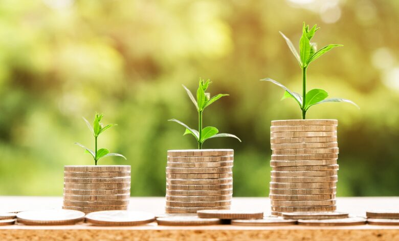 Brazilian fintech Grupo Bloxs receives investment from BS2 Brazilian fintech Grupo Bloxs receives investment from BS2