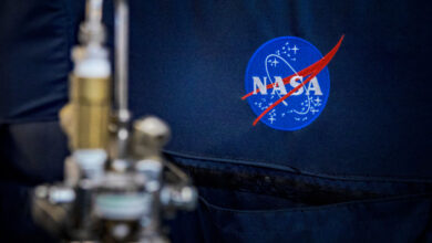 NASA Appoints David Salvagnini as First-Ever Artificial Intelligence Chief : Science : Tech Times