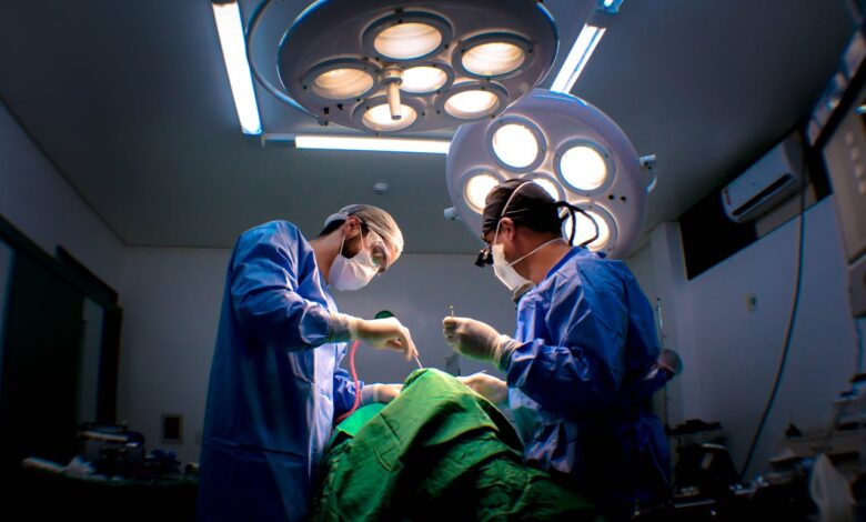Startup BrainBridge Claims World’s First Robotic Head Transplant Startup BrainBridge Claims World’s First Robotic Head Transplant
