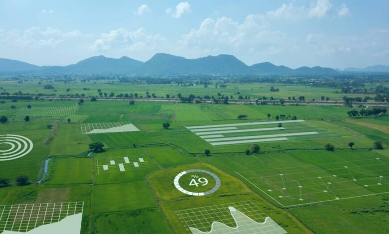 Analytics in agriculture: A guide to data in the farming industry | Central Western Daily Analytics in agriculture: A guide to data in the farming industry | Central Western Daily