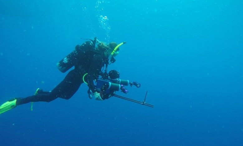 Jet-propelled sea creatures could improve ocean robotics Jet-propelled sea creatures could improve ocean robotics