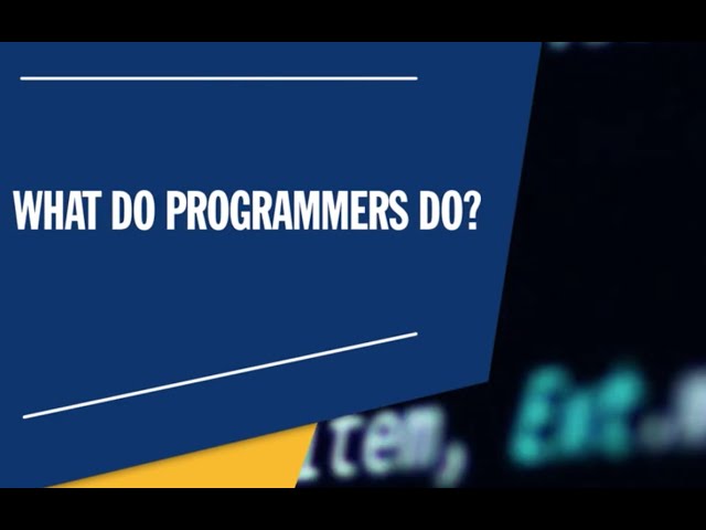 What Does a Programmer Do? The Life of a Programmer