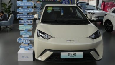 EV news: Chinese Seagull poses a threat to the U.S. industry