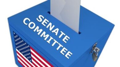 US Senate Releases Artificial Intelligence Policy Roadmap