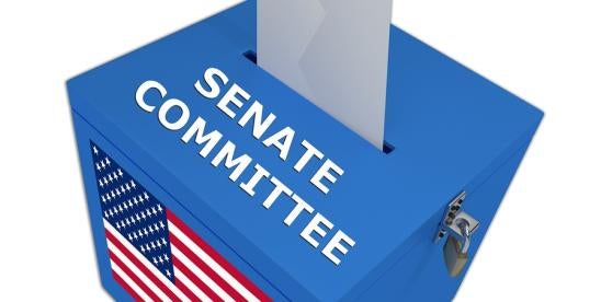 US Senate Releases Artificial Intelligence Policy Roadmap US Senate Releases Artificial Intelligence Policy Roadmap
