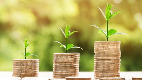 Climate action fintech Deedster secures SEK 50 million investment Climate action fintech Deedster secures SEK 50 million investment
