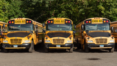 Electric School Buses, Charging Electric Vehicles, and More