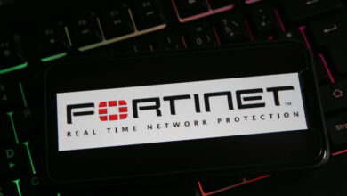 Seeking Undervalued Cybersecurity Stocks? Check Out Fortinet (NASDAQ:FTNT)